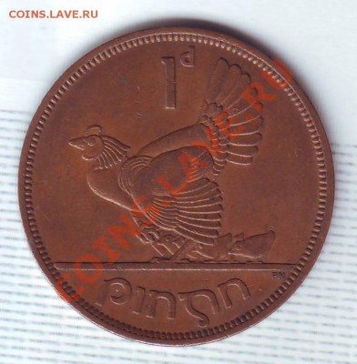 Ирландия.Пенни.1964.Курица. до 8 Августа - 19640061.JPG