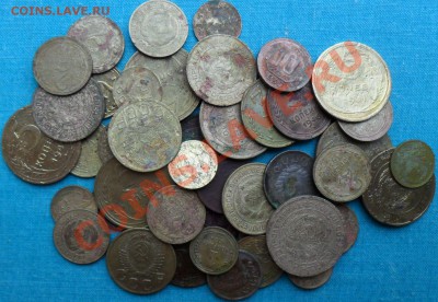 "Советы" на опыты.50 шт. - SAM_5697