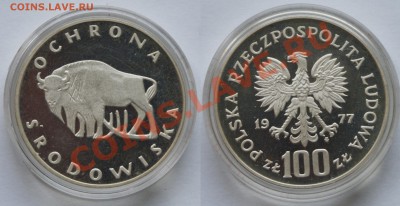 МОНЕТЫ БЕЛАРУСИ, ПОЛЬШИ, СССР, РОССИИ + каталоги, альбомы - groshy-info_100-zl_1977_Polska_Ochrona_srodowiska_Zubr