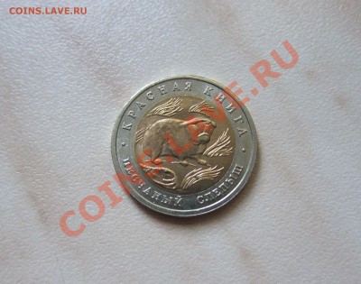 КРАСНАЯ КНИГА 94г. ПЕСЧАНЫЙ СЛЕПЫШ. до 6.08 22-00 мск - Слепыш_3_1