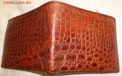 Бумажники и ремни из кожи крокодила ! - P1040635.JPG