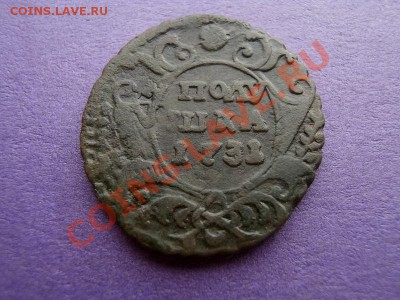 Полушка 1731г,окончание 10.08.13,22-00 по Москве - P6210566.JPG