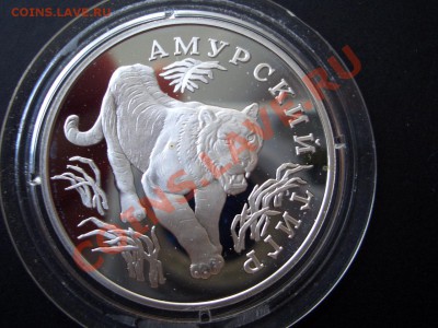 Красная Книга 1993 г.-Филин, Тигр, Козёл-12.08.13-22.00 Мск. - CIMG0831.JPG