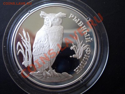 Красная Книга 1993 г.-Филин, Тигр, Козёл-12.08.13-22.00 Мск. - CIMG0836.JPG