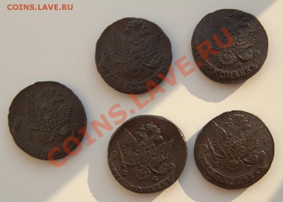 пятаки 1780-81-82-83-84 до 22-00 11 апреля - _MG_4749.CR2