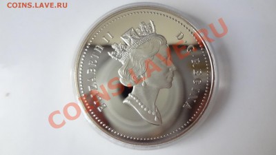 Ag! Канада Доллар Фронтенак 1991г Пруф. Корот 9.08 22.30мск - DSC06185.JPG