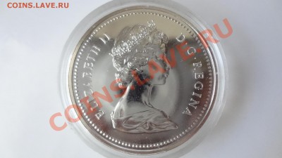 Канада Ag-500 1$ 1975 ПРУФ Калгари в капсуле до 9.08 22.30м - DSC06207.JPG