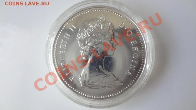 Канада Ag-500 1$ 1976г БИБЛИОТЕКА aUnc до 9.08.13г 22.30мск - DSC06209.JPG