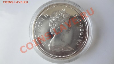 Канада: Ag-500 1$ 1974 UNC Виннипег в капсуле до 9.08 22.30 - DSC06213.JPG