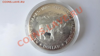 Канада: Ag-500 1$ 1985г Лось!ПРУФ Короткий 9.08.13г 22.30мск - DSC06216.JPG