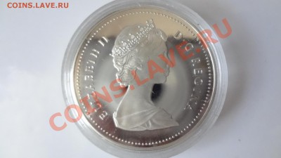 Ag! Доллар Пруф Молотобойцы 1988г До 9.08.13г 22.30мск - DSC06219.JPG