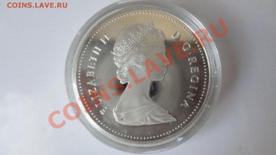 Ag! Канада Доллар Эдмонт 1983гПРУФ Корот 9.08.13г 22.30мск - DSC06223.JPG