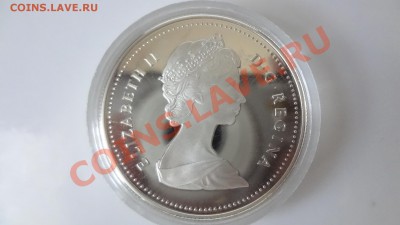 Ag! Доллар Канада. Ванкувер ПРУФ1986г Корот 9.08 22.30мск - DSC06227.JPG