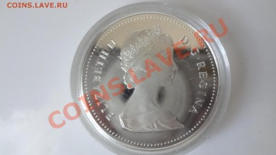 Канада: Ag-500 1$ 1984 ПРУФ Торонто в капсуле до 9.08 22.30 - DSC06229.JPG