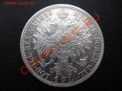 1886 Австрия, 1 Fl, серебро, до 12.08 в 21-00 мск - 1886 авс а.JPG