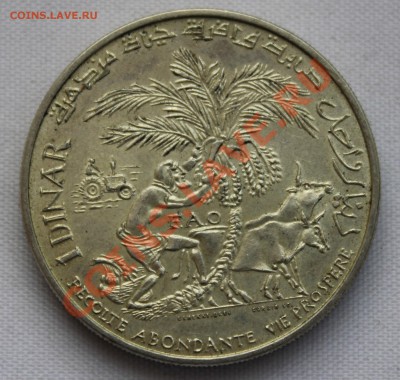 ТУНИС 1 динар 1970г.ФАО, КРЕСТЬЯНИН до 13.08.2013г. в 22-00 - IMG_7018.JPG