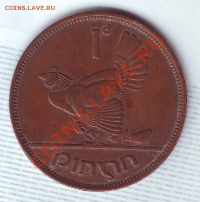 Ирландия.Пенни.1942.Курица.до 13 Августа - 19420092.JPG