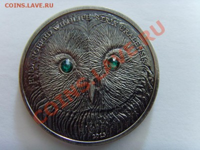 Сова - SNV33447.JPG