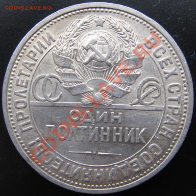 ПОЛТИННИК 1925 ГОДА (П.Л) 11.08.13 В 22.00 - Изображение 049