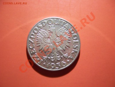 Серебро Польши - 100_6090.JPG