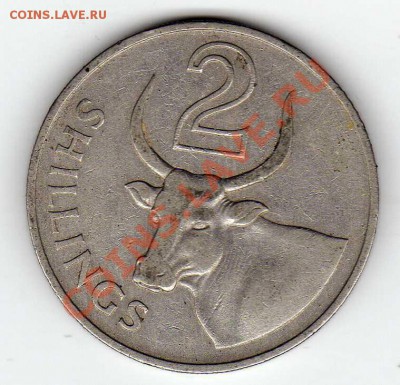 ГАМБИЯ 2 ШИЛЛИНГА 1966 ВОЛ ДО 15.08.13 В 22.00МСК (5487) - img849