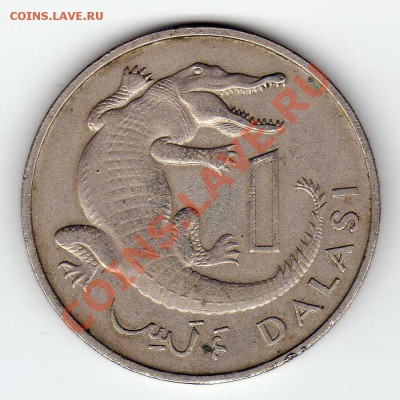 ГАМБИЯ ДАЛАСИ 1971 КРОКОДИЛ ДО 15.08.13 В 22.00МСК (5487) - img855
