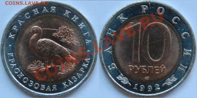 10 рублей 1993 г. Краснозоба казарка, сдвиг - Фото.JPG