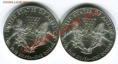 1 доллар США 2013 года Ag, 2 шт. до 12.08.2013 в 22-00 Мск - Сканирование__345