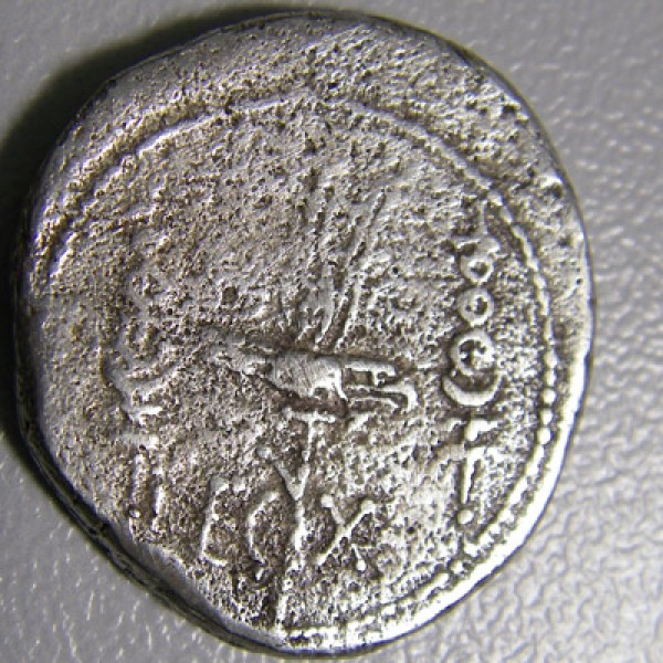 Реверс - Римская республика, Марк Антоний, 32-31 год до Р.Х., денарий - X (десятый) легион. - coin1_400