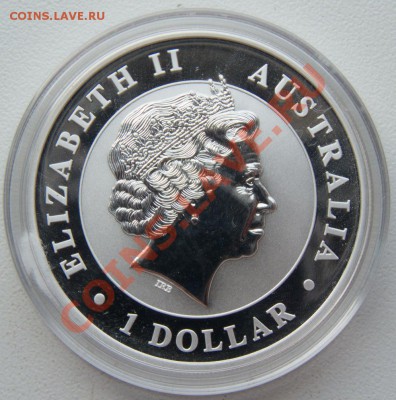 Австралийская Коала до 14.08.2013 г. 20:00 МСК. - Аверс коалы.JPG