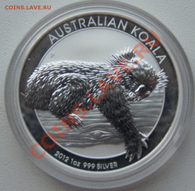 Австралийская Коала до 14.08.2013 г. 20:00 МСК. - Коала.JPG