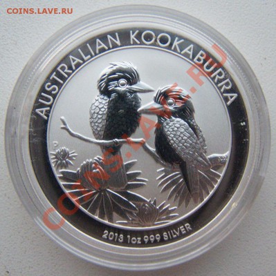 Австралийская KOOKABURRA до 14.08.2013 г. в 20:00 МСК - Кукабарра.JPG