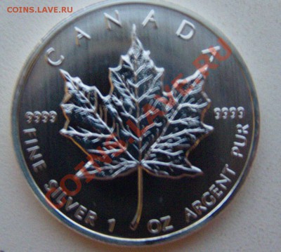 Канадский серебряный лист 2013 года до 14.08.2013 г. в 20:00 - Канадский Лист.JPG