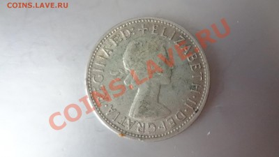 Ag! Австралия Флорин 1957г До 13.08.13г 22.30мск - DSC06294.JPG