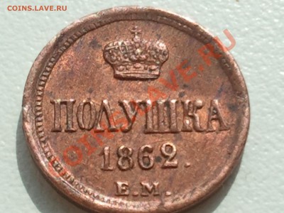 Полушка 1862 ЕМ - 2013-08-11 12.01.12