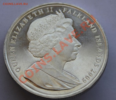 ФАЛКЛЕНДСКИЕ О-ВА 1крона 2009г. Ч.ДАРВИН до 18.08.13.в 22-00 - IMG_7044.JPG