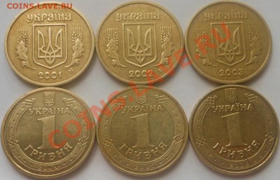 С рубля монеты Украины( 12шт 1гривня)! До 18.08.2013г! - DSCN2776