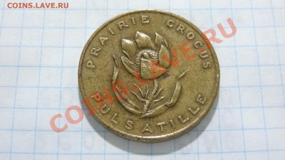 Канада, Манитоба 1870, крокусы до 14.08. в 22:30 - DSC03581.JPG