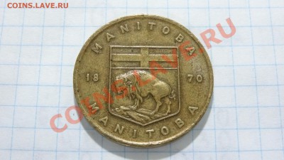 Канада, Манитоба 1870, крокусы до 14.08. в 22:30 - DSC03582.JPG