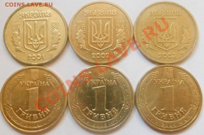 Монеты Украины(1гривня 12шт)! До 19.08.2013г! - DSCN2810