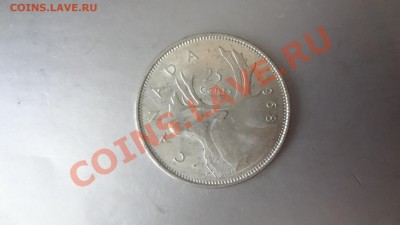 Ag! Канада 25 Центов Лось 1968г До 19.08.13г 22.30мск - DSC06405.JPG