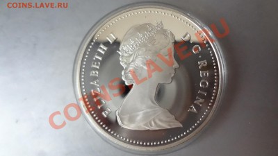Канада: Ag-500 1$ 1984 ПРУФ Торонто в апсуле до 19.08 22.30м - DSC06460.JPG