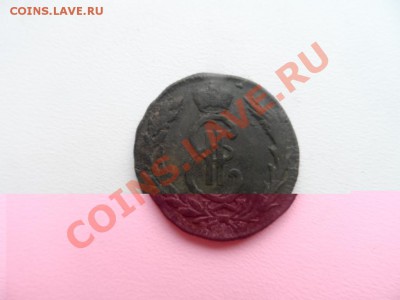 пятачек 1796 км на оценку - SAM_0725.JPG