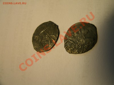 прошу опознать чешуйки - GEDC0251.JPG