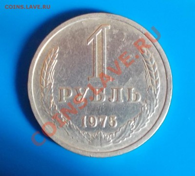 ГОДОВИК 1975 года до 19.08.2013 в 22-00 мск - DSCN4486 [1024x768]