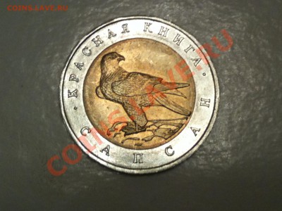 Красная книга-САПСАН-1994-50 рублей до 18.08.13 22:00 Мск - IMG_2338.JPG