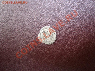 Атрибутировать чешуйку - DSC02312.JPG