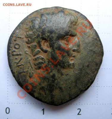 Октавиан Август - augustus antioch obv 