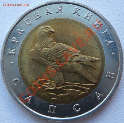 КРАСНАЯ КНИГА-САПСАН-1994-50 рублей до 21.08.13 22:00 Мск - P1090720.JPG