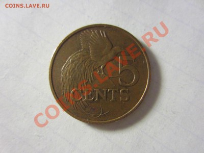 Тринидад 5 центов 2003. - IMG_2875
